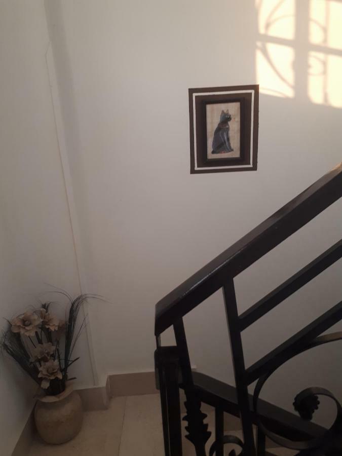شقة Angel Eyes House الأقصر المظهر الخارجي الصورة